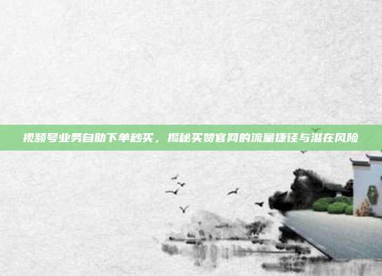 视频号业务自助下单秒买,揭秘买赞官网的流量捷径与潜在风险