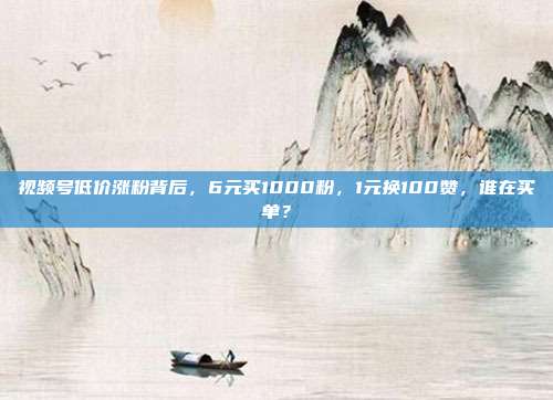 视频号低价涨粉背后,6元买1000粉,1元换100赞,谁在买单?