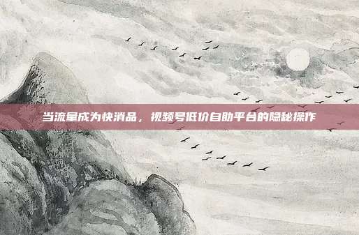 当流量成为快消品,视频号低价自助平台的隐秘操作