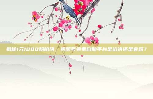 揭秘1元1000粉陷阱,视频号免费自助平台是馅饼还是套路?