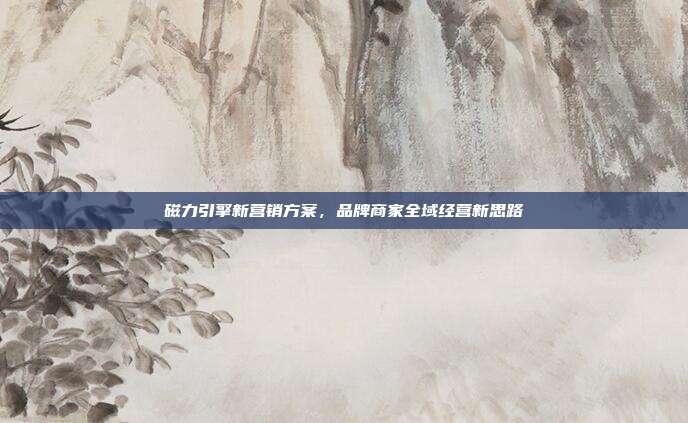 磁力引擎新营销方案,品牌商家全域经营新思路