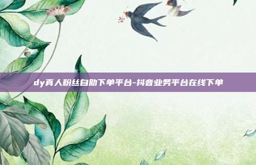 dy真人粉丝自助下单平台-抖音业务平台在线下单
