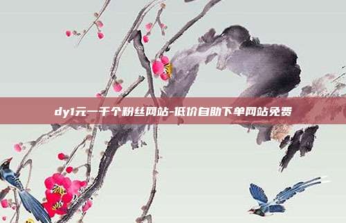 dy1元一千个粉丝网站-低价自助下单网站免费