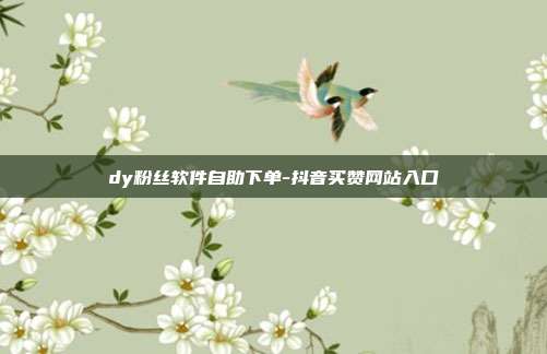 dy粉丝软件自助下单-抖音买赞网站入口