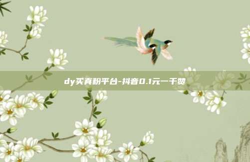 dy买真粉平台-抖音0.1元一千赞