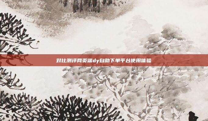 对比测评网页端dy自助下单平台使用体验