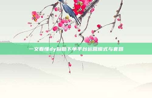 一文看懂dy自助下单平台运营模式与套路