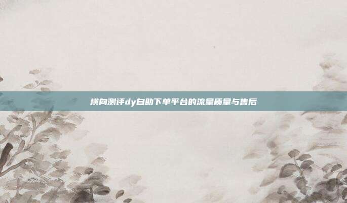 横向测评dy自助下单平台的流量质量与售后