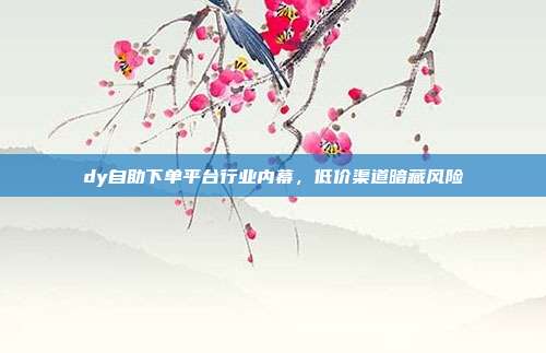 dy自助下单平台行业内幕，低价渠道暗藏风险
