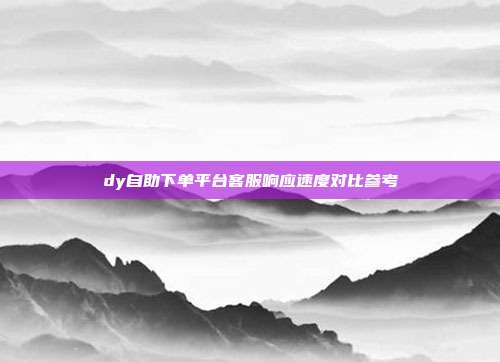 dy自助下单平台客服响应速度对比参考