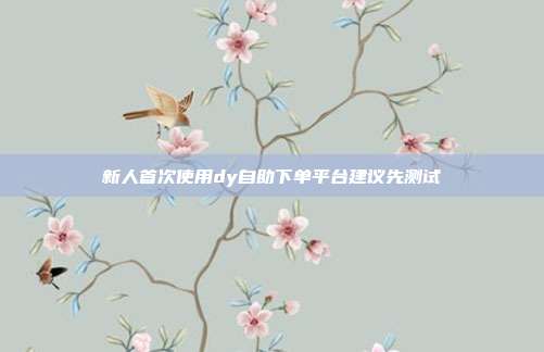 新人首次使用dy自助下单平台建议先测试