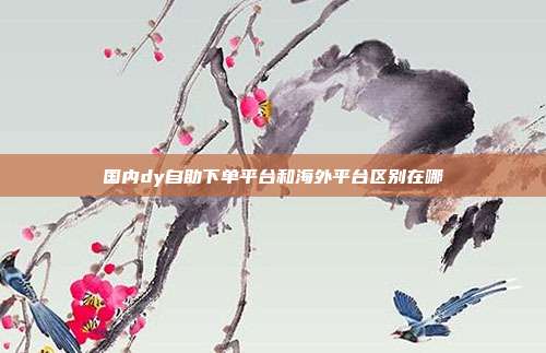 国内dy自助下单平台和海外平台区别在哪