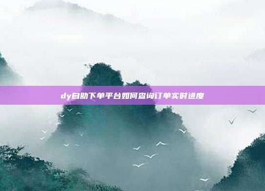 dy自助下单平台如何查询订单实时进度