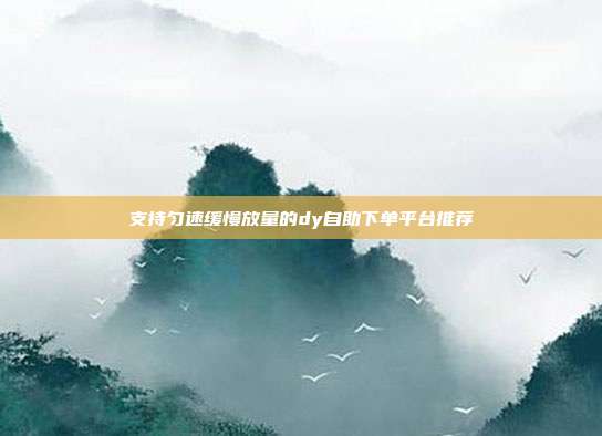 支持匀速缓慢放量的dy自助下单平台推荐