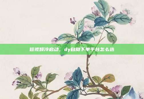 短视频冷启动,dy自助下单平台怎么选
