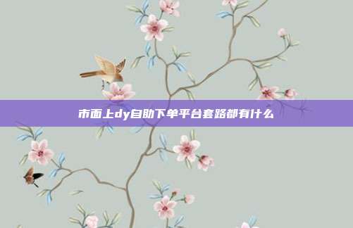 市面上dy自助下单平台套路都有什么