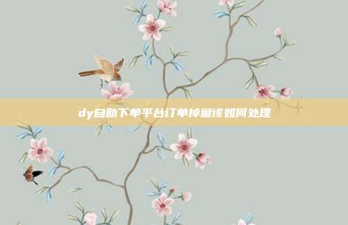 dy自助下单平台订单掉量该如何处理
