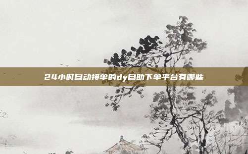 24小时自动接单的dy自助下单平台有哪些