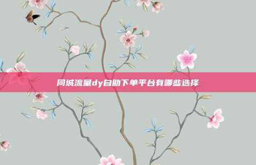 同城流量dy自助下单平台有哪些选择