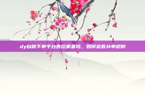 dy自助下单平台售后重要吗，如何查看补单规则