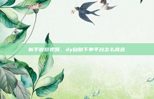 新手做短视频,dy自助下单平台怎么挑选