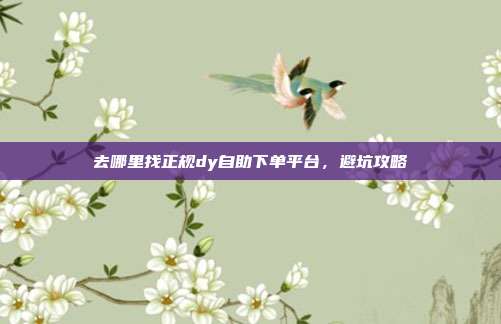 去哪里找正规dy自助下单平台,避坑攻略