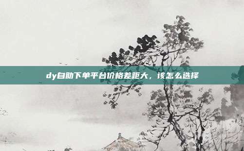 dy自助下单平台价格差距大，该怎么选择