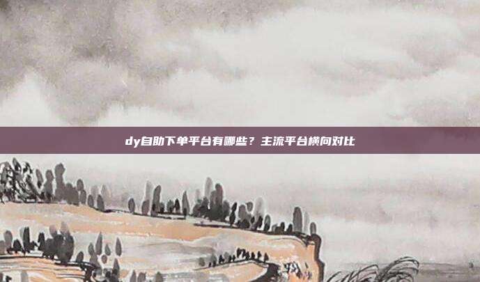 dy自助下单平台有哪些？主流平台横向对比