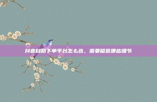 抖音自助下单平台怎么选,需要留意哪些细节