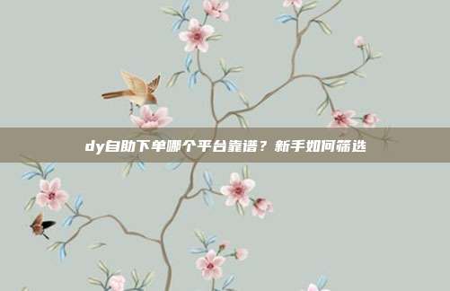 dy自助下单哪个平台靠谱?新手如何筛选