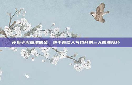 夜猫子流量池掘金,快手直播人气拉升的三大暗战技巧