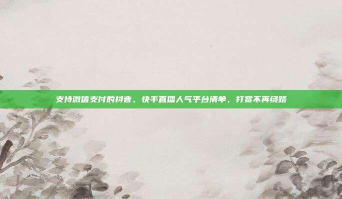 支持微信支付的抖音、快手直播人气平台清单，打赏不再绕路