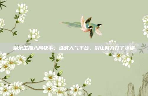 娱乐主播入局快手,选对人气平台,别让努力打了水漂