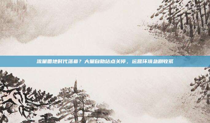 流量圈地时代落幕？大量自助站点关停，运营环境急剧收紧