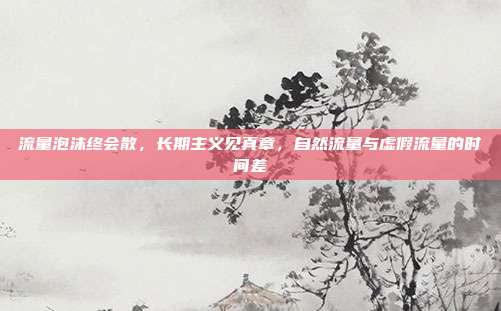 流量泡沫终会散，长期主义见真章，自然流量与虚假流量的时间差