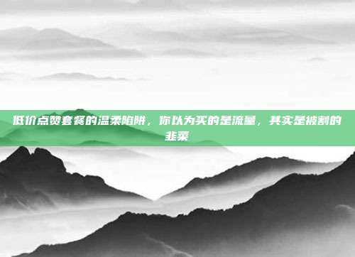 低价点赞套餐的温柔陷阱,你以为买的是流量,其实是被割的韭菜