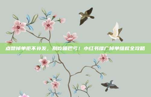 点赞掉单拒不补发,别吃哑巴亏!小红书推广掉单维权全攻略