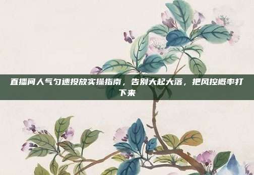 直播间人气匀速投放实操指南,告别大起大落,把风控概率打下来