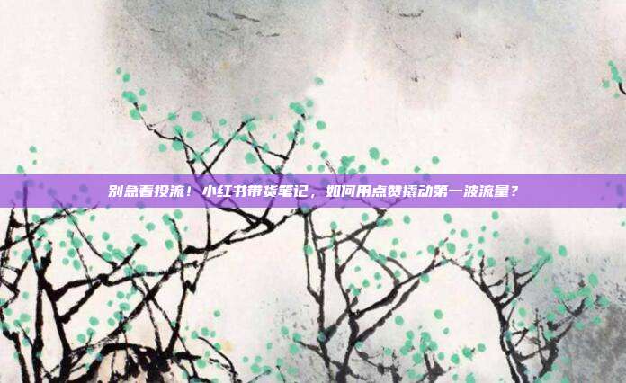 别急着投流!小红书带货笔记,如何用点赞撬动第一波流量?