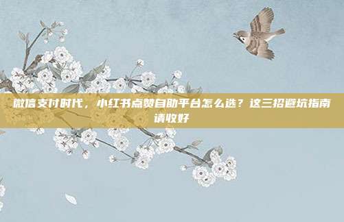 微信支付时代,小红书点赞自助平台怎么选?这三招避坑指南请收好