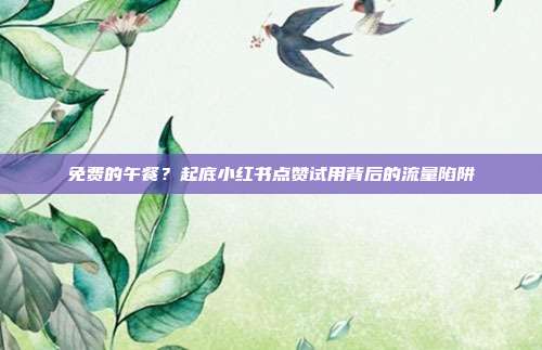 免费的午餐？起底小红书点赞试用背后的流量陷阱