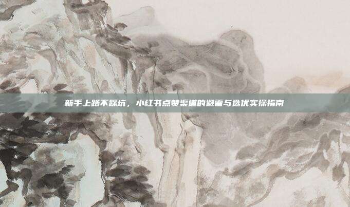 新手上路不踩坑,小红书点赞渠道的避雷与选优实操指南