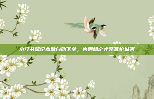 小红书笔记点赞自助下单，售后稳定才是真护城河