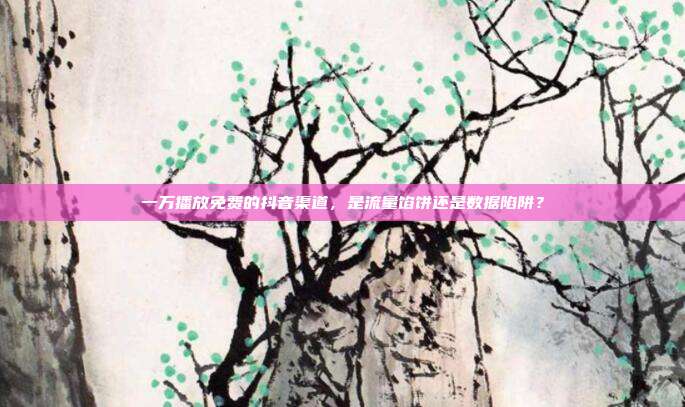 一万播放免费的抖音渠道,是流量馅饼还是数据陷阱?