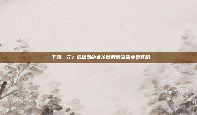 一千粉一元？揭秘网站宣传背后的流量变现真相