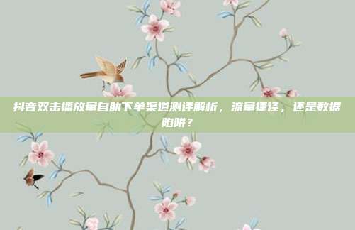 抖音双击播放量自助下单渠道测评解析，流量捷径，还是数据陷阱？
