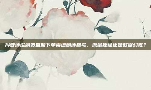 抖音评论刷赞自助下单渠道测评参考,流量捷径还是数据幻觉?