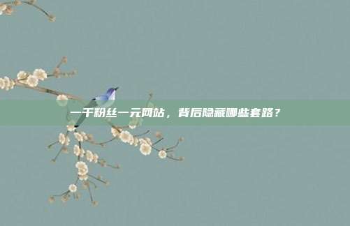 一千粉丝一元网站，背后隐藏哪些套路？