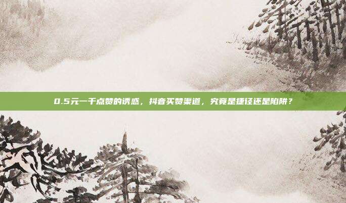 0.5元一千点赞的诱惑,抖音买赞渠道,究竟是捷径还是陷阱?