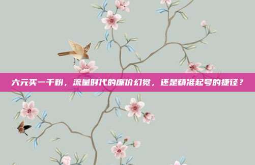 六元买一千粉，流量时代的廉价幻觉，还是精准起号的捷径？